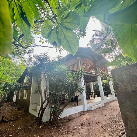 The Sunset Chalet Anjuna Exterior foto